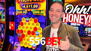 556bet jogo