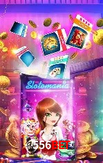 Experiência VIP 556bet